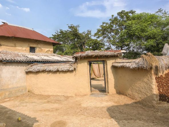 Mud and Dung in Construction